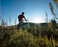 Paseo en Bici