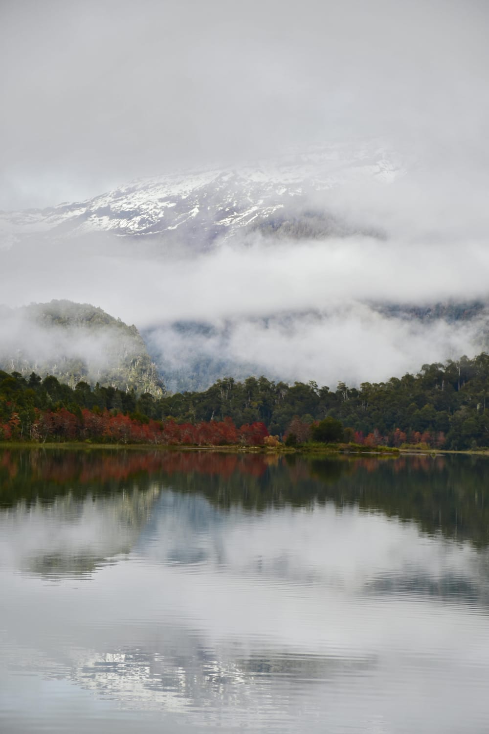LOLOG + LAGUNA ROSALES + MIRADOR ARRAYAN